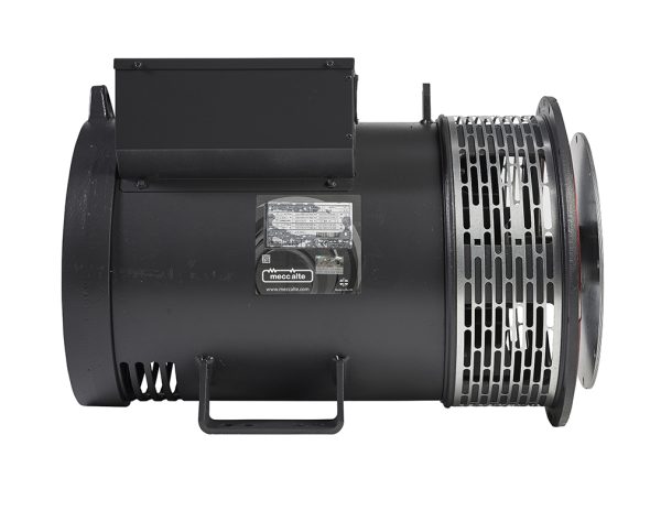 Mecc Alte ECP32-2M/4 (50 кВт) — изображение 2