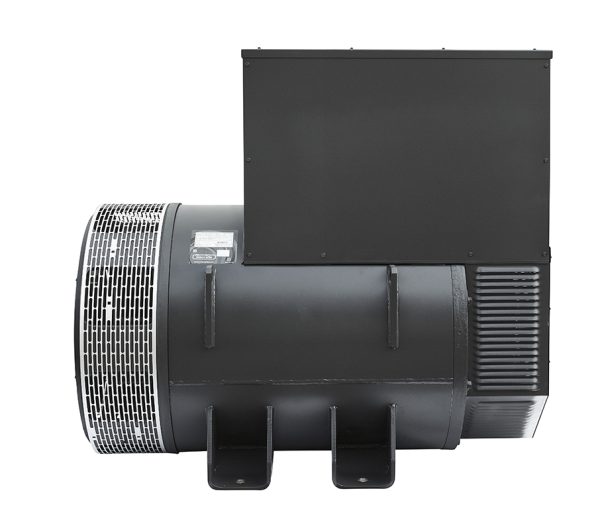 Mecc Alte ECO43-2S/4 (744 кВт) — изображение 2