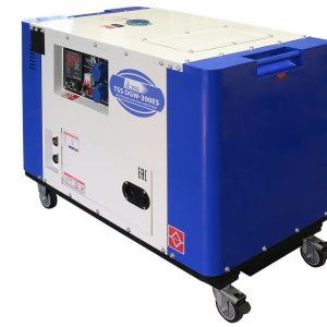 Дизельный сварочный генератор в кожухе ТСС DGW-300ES 017457