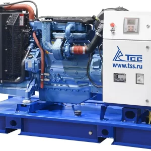 Дизельный генератор ТСС АД-60С-Т400-1РМ9 016975