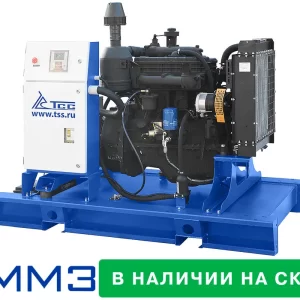 Дизельный генератор 30 кВт ТСС АД-30С-Т400-1РМ1 104136