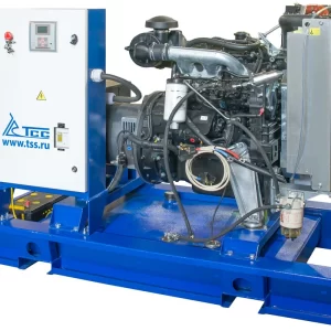 Дизельный генератор ТСС АД-24С-Т400-1РМ20 (80313AM1P, Mecc Alte) 027606