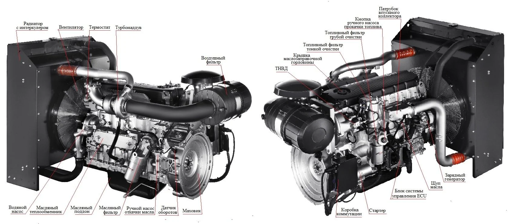 Дизельный генератор ТСС АД-250С-Т400-1РМ20 016296 — изображение 2